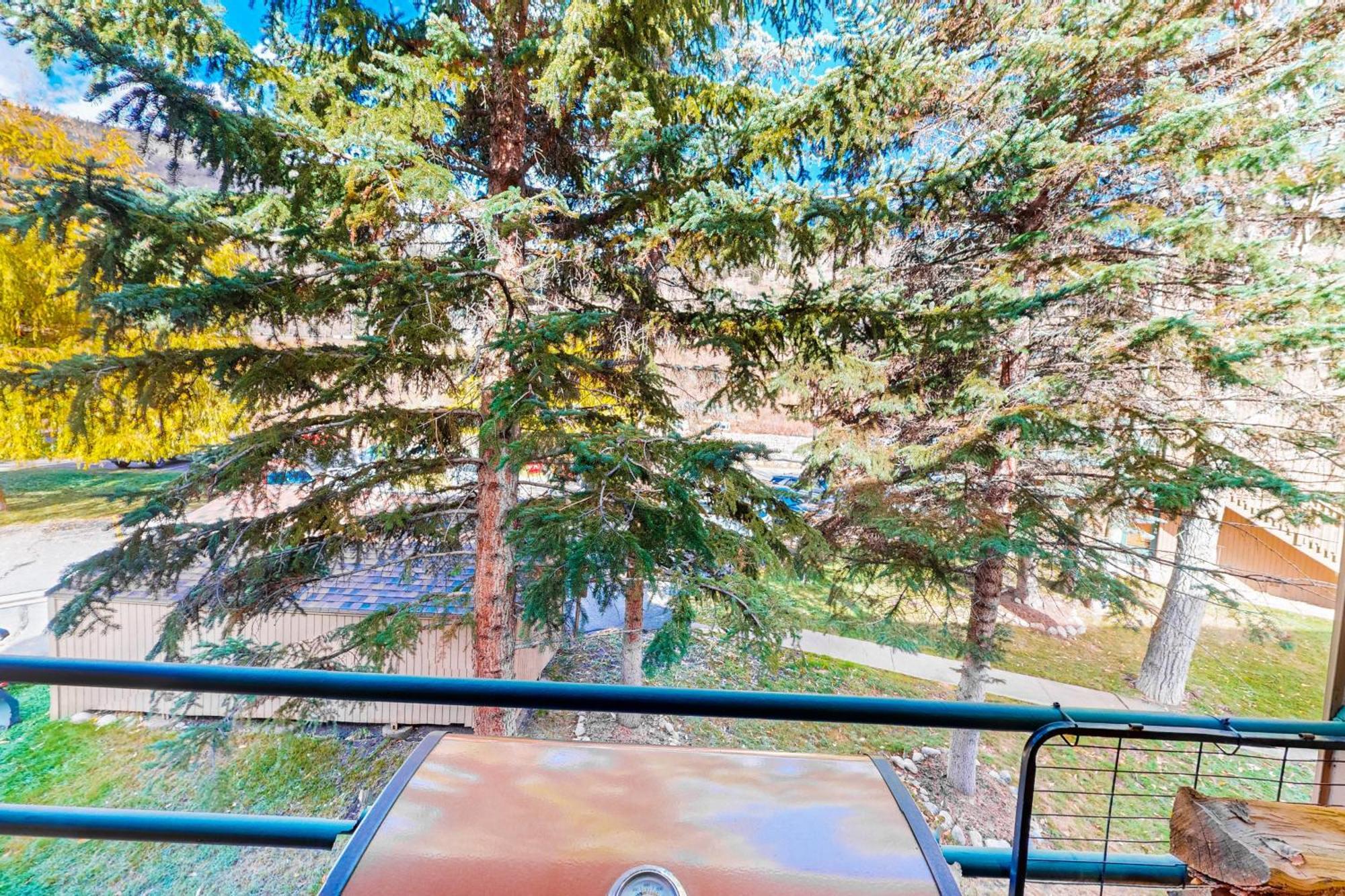 Pitkin Creek Park 7 Vila Vail Quarto foto